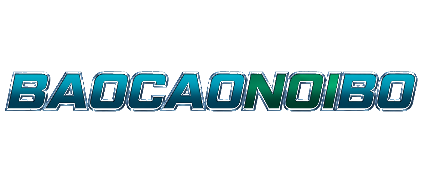 Baocaonoibo